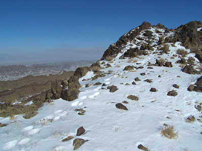 snow leopard tracks on mountain ridgeline